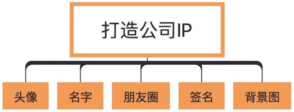 打造公司ip