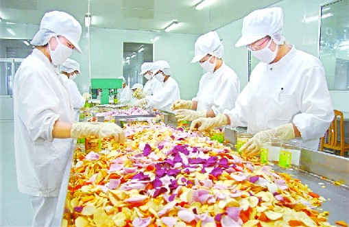app营销解密:移动互联网时代的营销革命_如何营销菜_营销底牌:营销企划案例解析