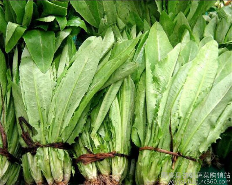 一菜一格百菜百味_金麦奖组委会创意营销:中国互联网营销新趋势^^^巅峰营销:2_如何营销菜
