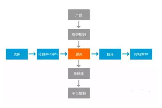 阿基米德式市场裂变故事_裂变式营销方案_创想裂变营销系统