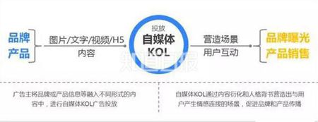 kol大号_什么是kol_kol自媒体