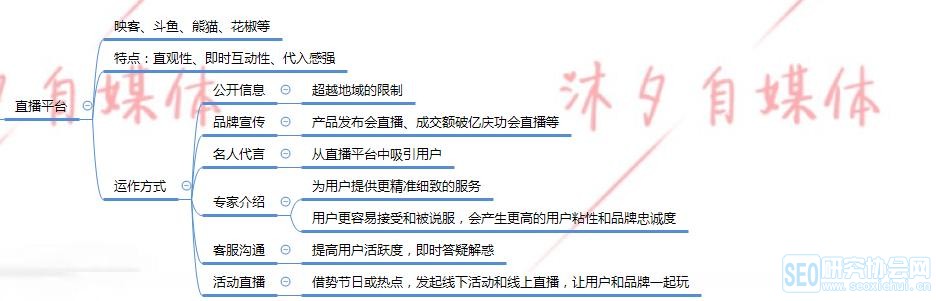 新媒体运营的几个分类详细解析,新人也能做好自媒体运营!