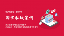未来五年,做淘宝电商不做好私域流量,将寸步难行!