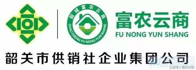 任何企业必须重视的,新媒体未来营销方式
