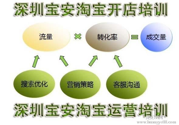 行销策略 营销_网络为王:网络时代的品牌建设策略_网络营销的价格策略