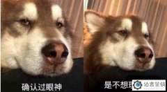 客户挑刺怎么办?如何成功拔刺,和用户关系更近