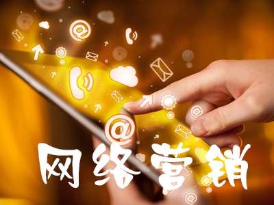 什么是网络营销?